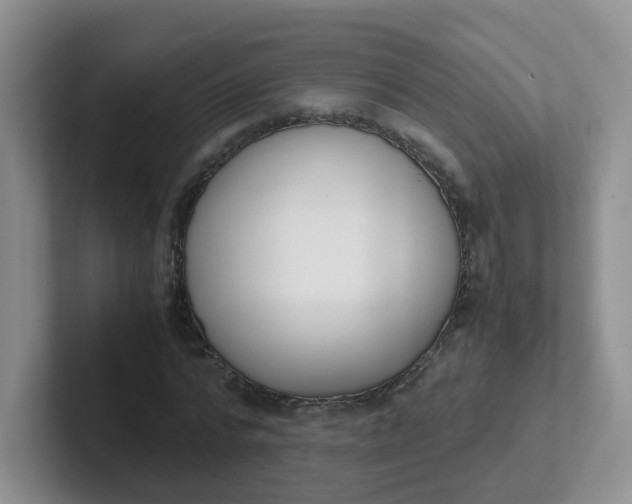 X0000102300776200808081543