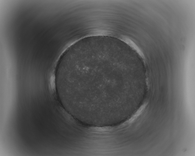 X0000102300781200808081543