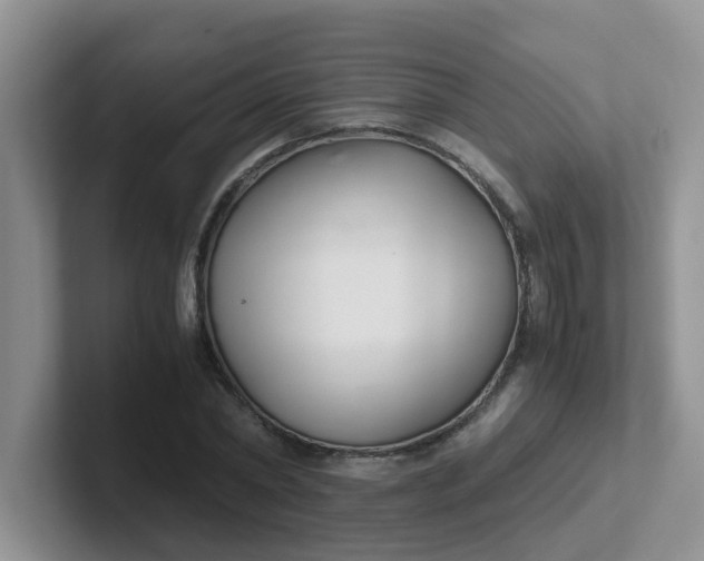 X0000102300782200808081543