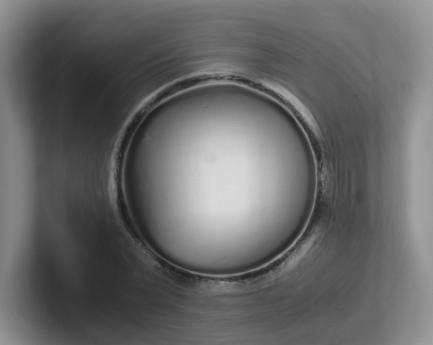 X0000102300783200808081543