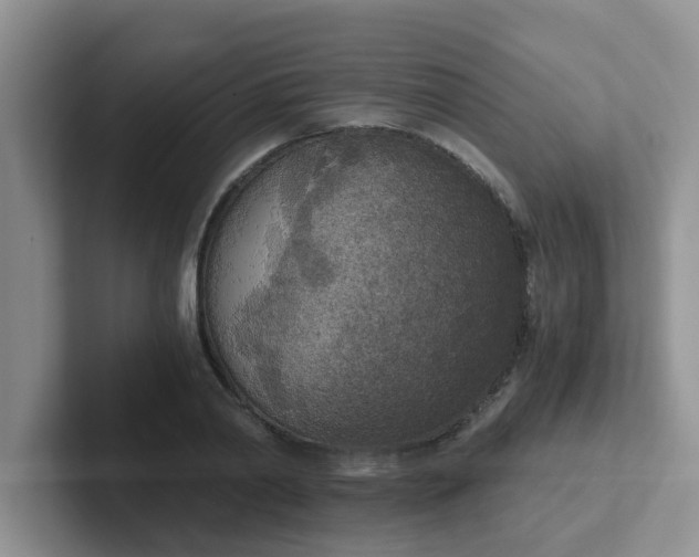 X0000102300790200808081543