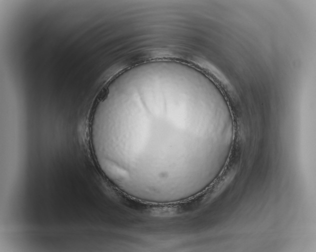 X0000102300793200808081543