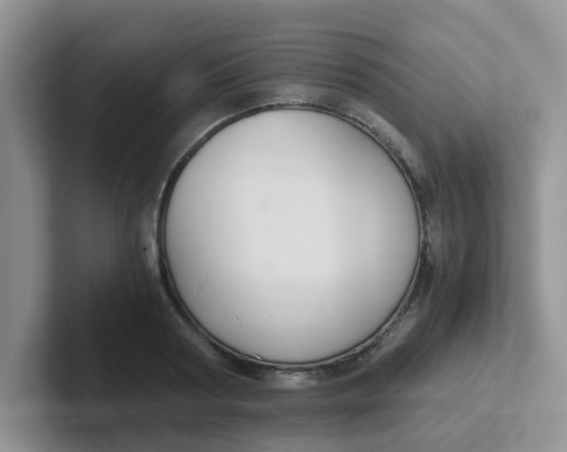 X0000102300794200808081543