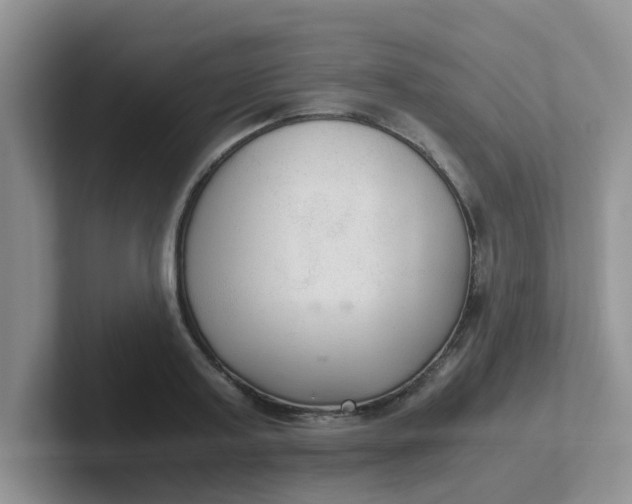 X0000102300795200808081543