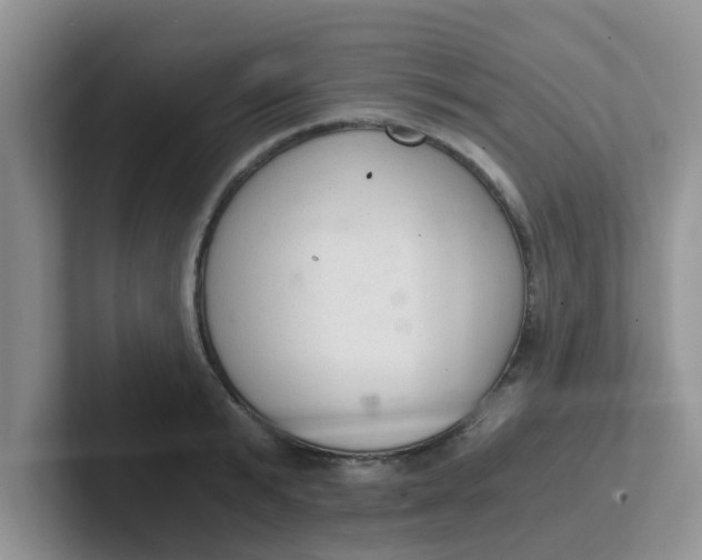 X0000102300799200808081543