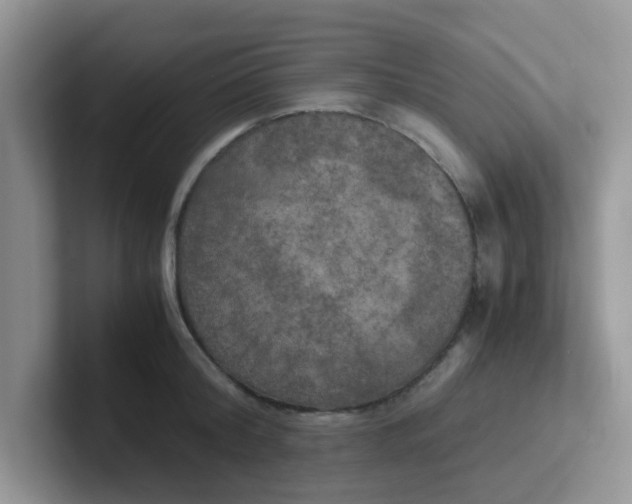 X0000102300804200808081543