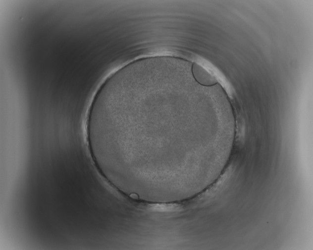 X0000102300805200808081543