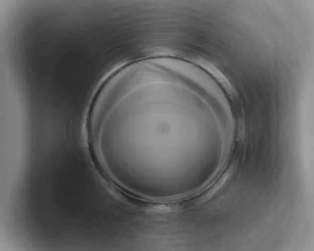 X0000102300806200808081543