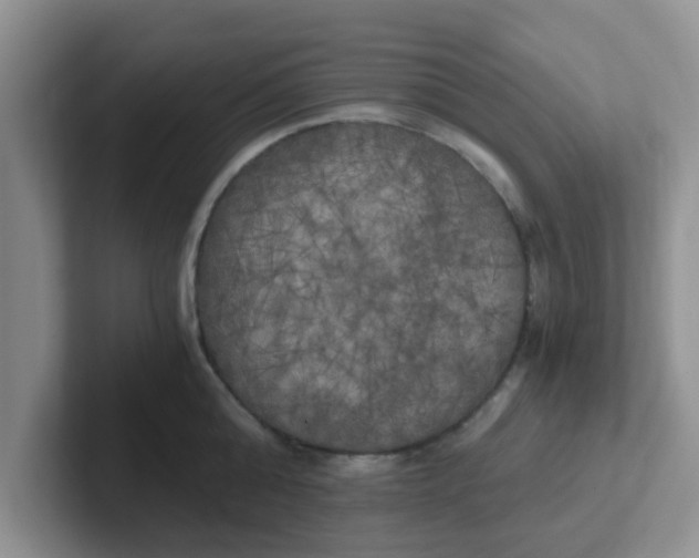 X0000102300808200808081543