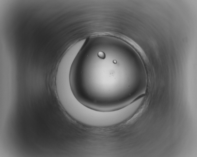 X0000102300809200808081543