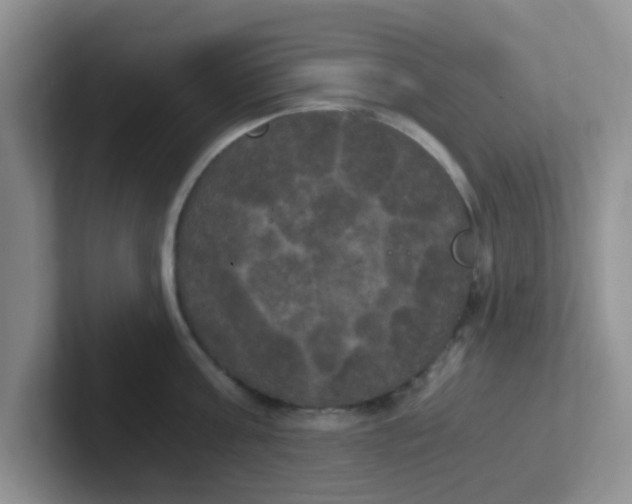 X0000102300811200808081543