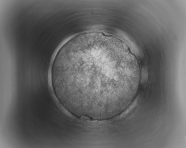 X0000102300812200808081543