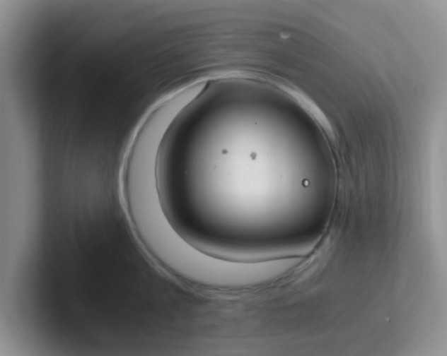 X0000102300813200808081543