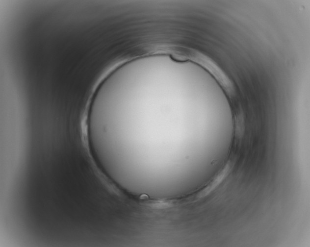 X0000102300814200808081543