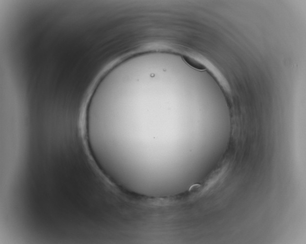 X0000102300815200808081543