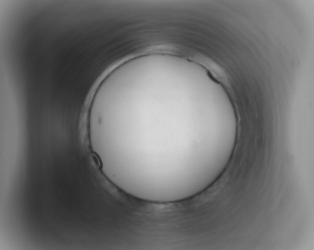 X0000102300816200808081543