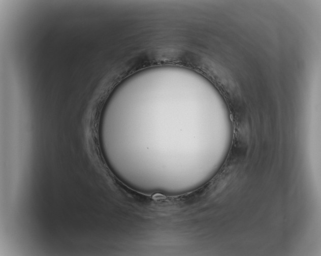 X0000102300817200808081542