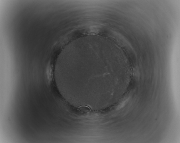 X0000102300818200808081542