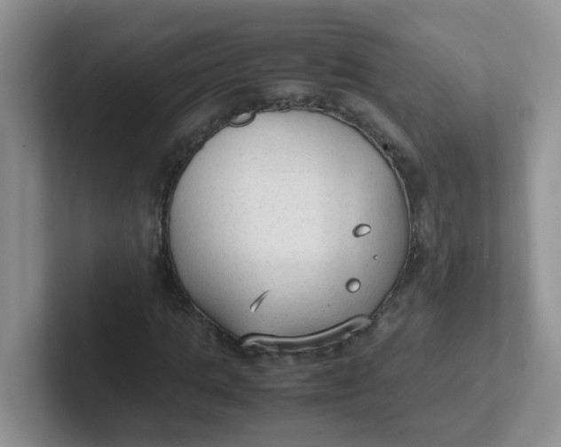 X0000102300821200808081542