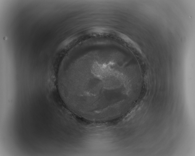 X0000102300822200808081542