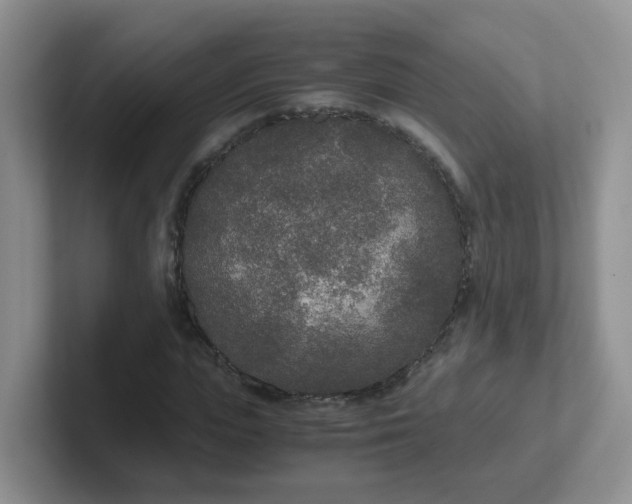 X0000102300823200808081542