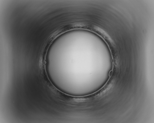 X0000102300825200808081542