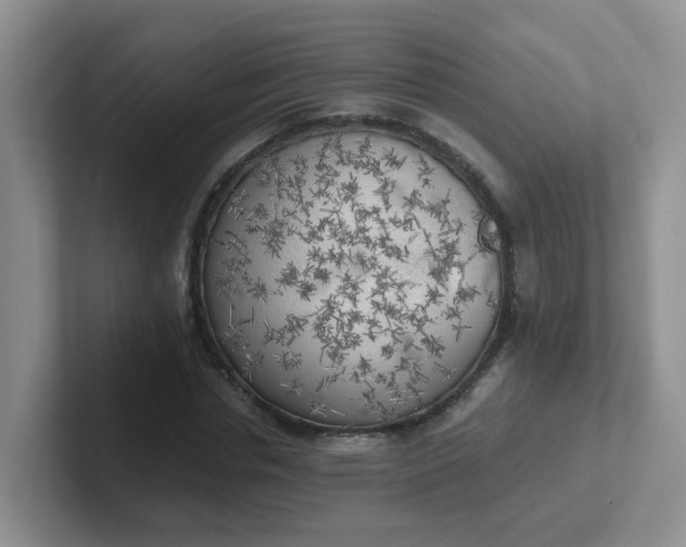 X0000102300826200808081542