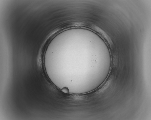 X0000102300827200808081542