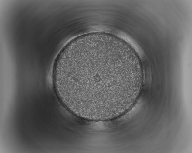 X0000102300828200808081542