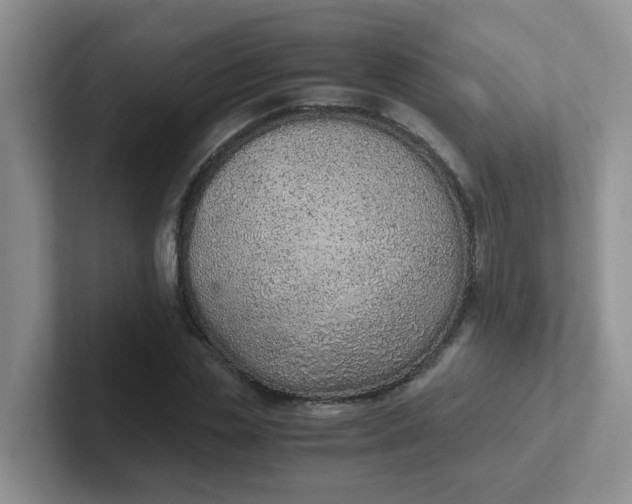 X0000102300829200808081542