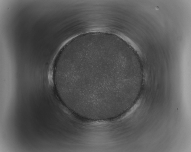 X0000102300830200808081542