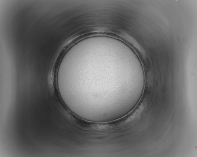 X0000102300831200808081542