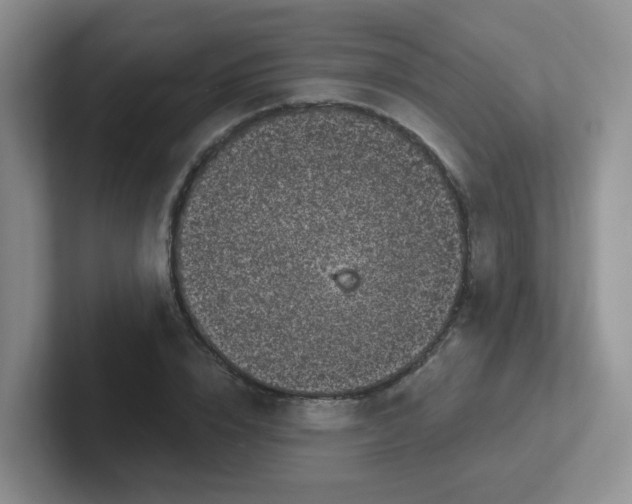 X0000102300832200808081542