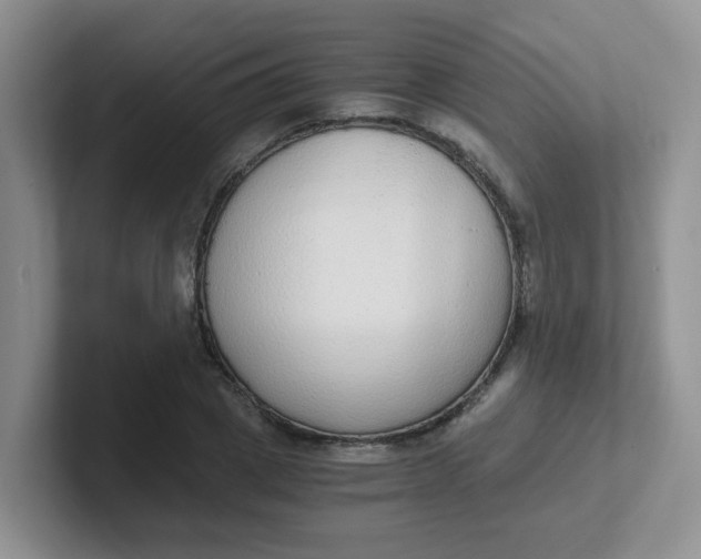 X0000102300833200808081542