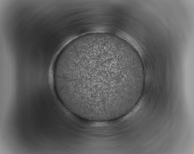 X0000102300835200808081542