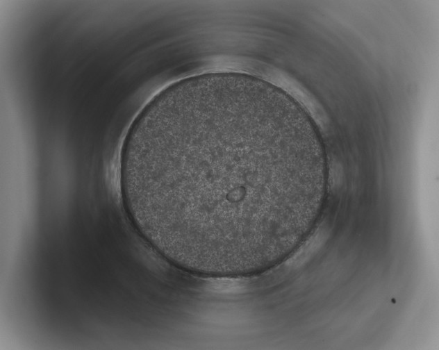 X0000102300836200808081542