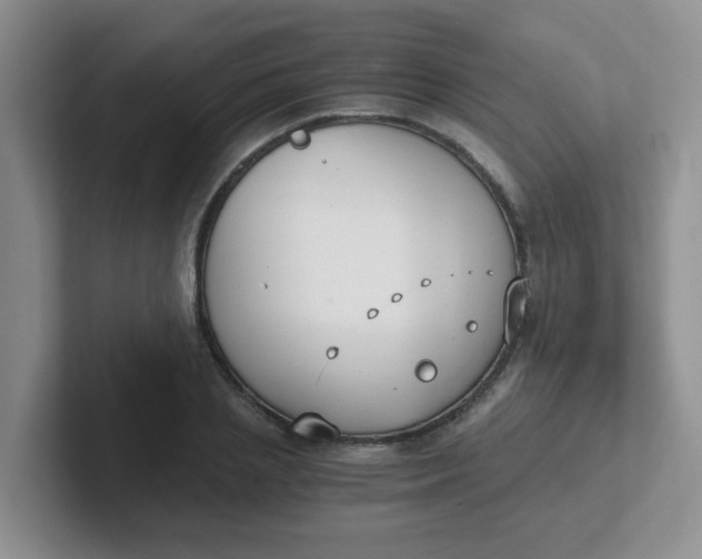 X0000102300837200808081543