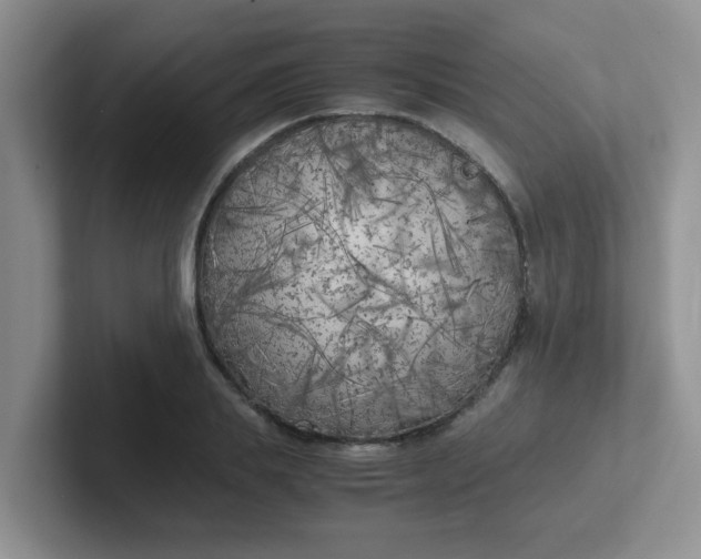 X0000102300839200808081543