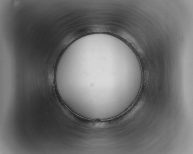 X0000102300841200808081543