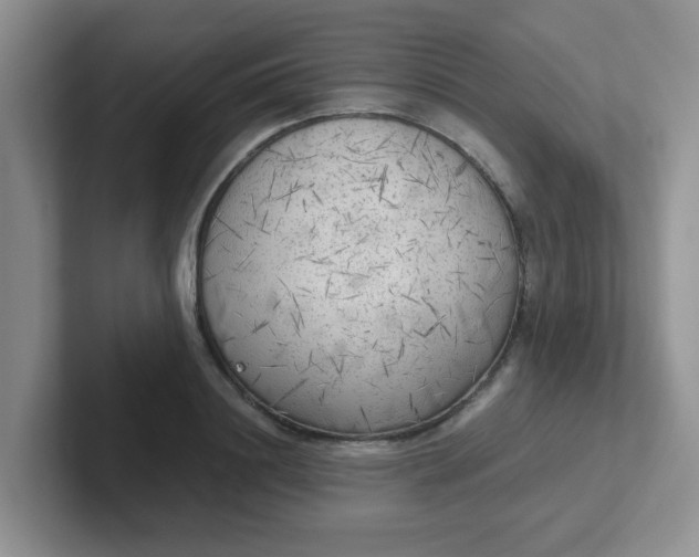 X0000102300844200808081543