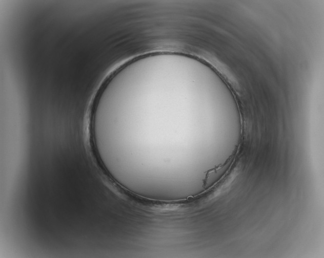 X0000102300846200808081543