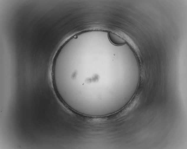 X0000102300847200808081543