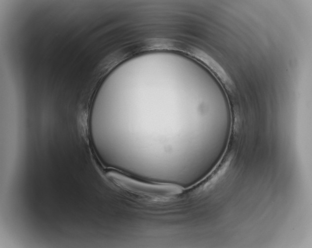 X0000102300849200808081543