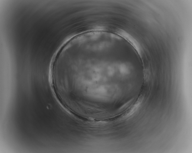 X0000102300851200808081543