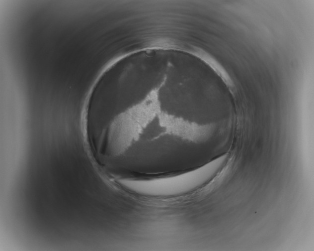 X0000102300854200808081543