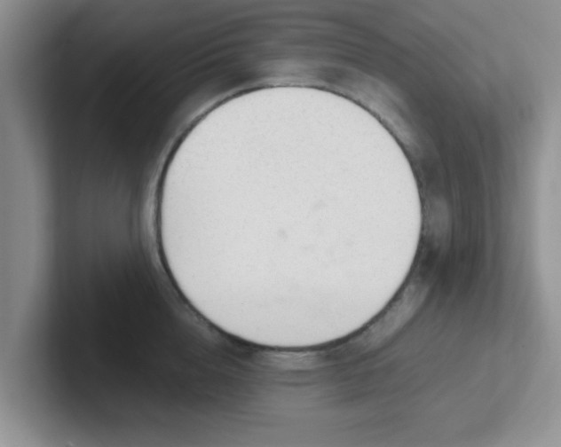 X0000102300856200808081543