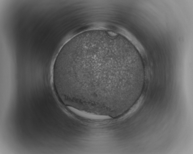 X0000102300858200808081543