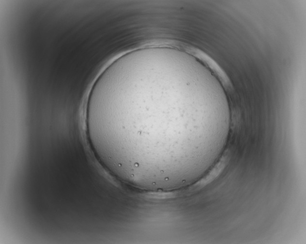 X0000102300860200808081543