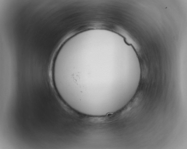 X0000102300861200808081543