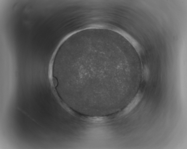 X0000102300862200808081543